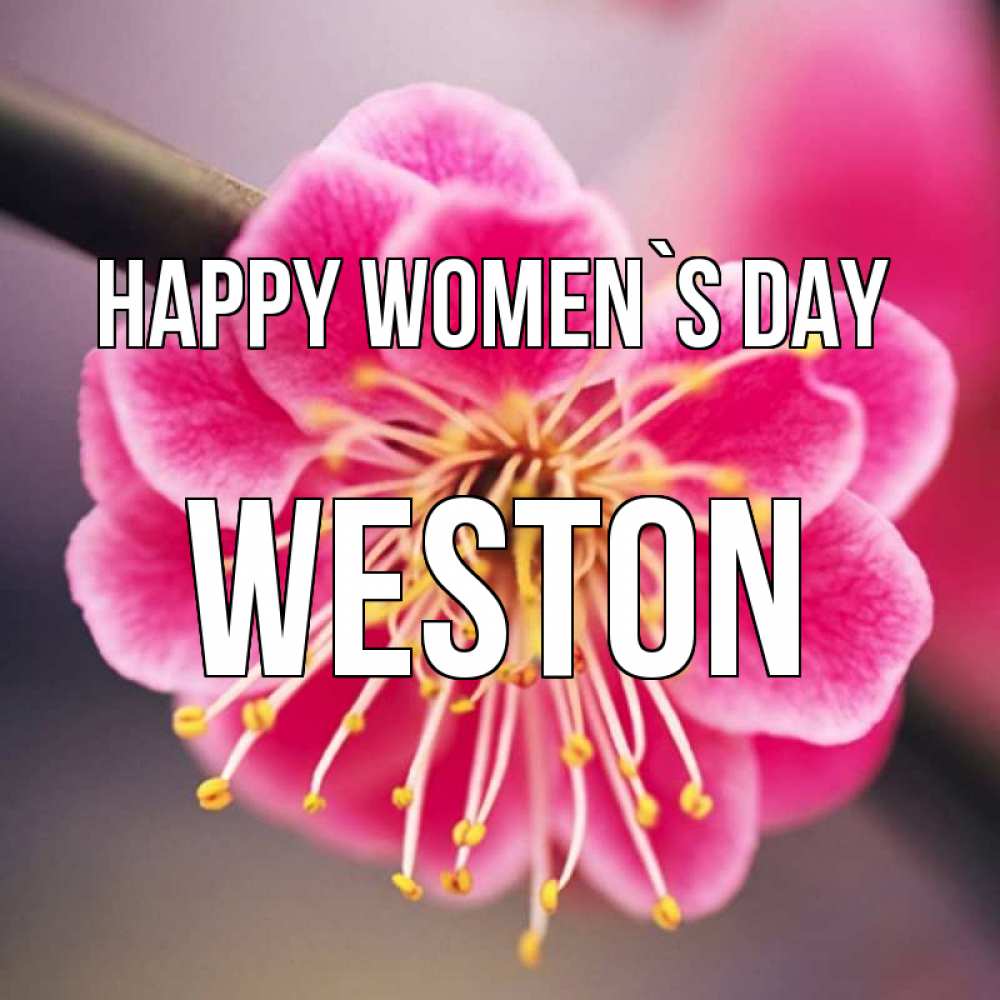 Greetings card с именем, Weston happy women`s day цветы Greetings with text for free download 